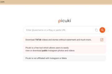 Picuki Review